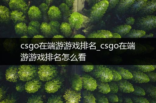 csgo在端游游戏排名_csgo在端游游戏排名怎么看