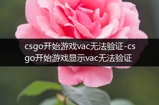 csgo开始游戏vac无法验证-csgo开始游戏显示vac无法验证