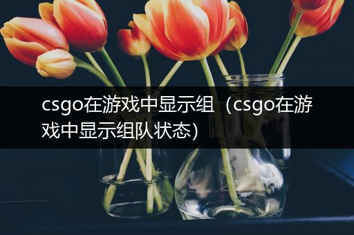 csgo在游戏中显示组（csgo在游戏中显示组队状态）