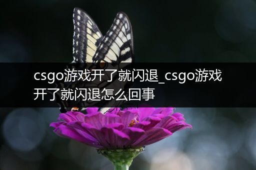 csgo游戏开了就闪退_csgo游戏开了就闪退怎么回事