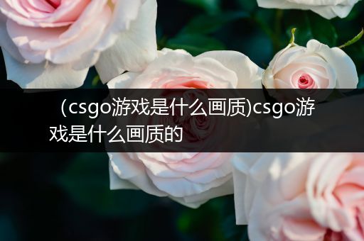 （csgo游戏是什么画质)csgo游戏是什么画质的
