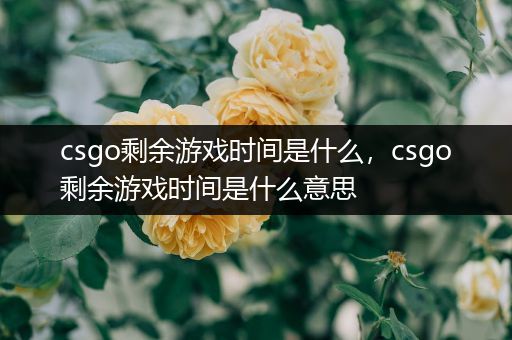 csgo剩余游戏时间是什么，csgo剩余游戏时间是什么意思