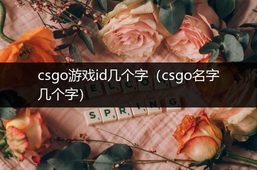 csgo游戏id几个字（csgo名字几个字）