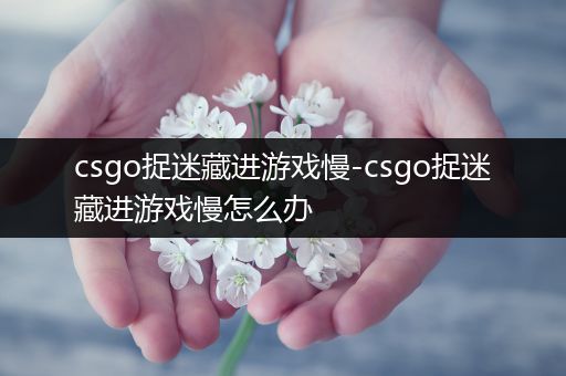 csgo捉迷藏进游戏慢-csgo捉迷藏进游戏慢怎么办