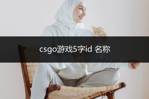 csgo游戏5字id 名称