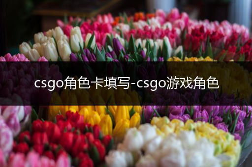 csgo角色卡填写-csgo游戏角色