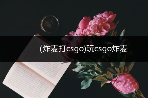 （炸麦打csgo)玩csgo炸麦