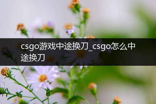 csgo游戏中途换刀_csgo怎么中途换刀