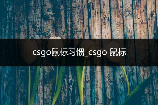 csgo鼠标习惯_csgo 鼠标