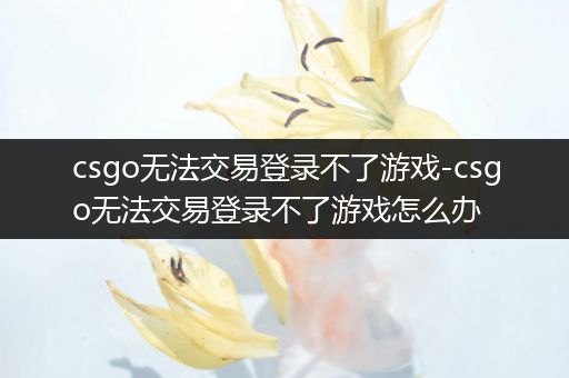csgo无法交易登录不了游戏-csgo无法交易登录不了游戏怎么办