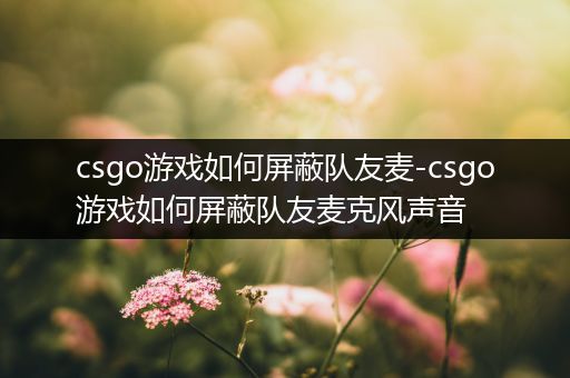 csgo游戏如何屏蔽队友麦-csgo游戏如何屏蔽队友麦克风声音