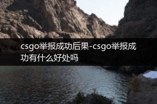 csgo举报成功后果-csgo举报成功有什么好处吗