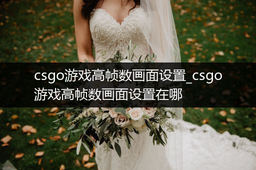 csgo游戏高帧数画面设置_csgo游戏高帧数画面设置在哪