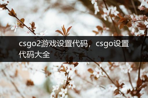 csgo2游戏设置代码，csgo设置代码大全