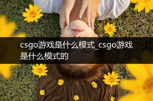 csgo游戏是什么模式_csgo游戏是什么模式的