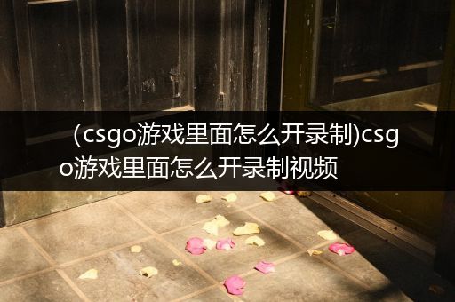 （csgo游戏里面怎么开录制)csgo游戏里面怎么开录制视频
