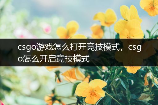 csgo游戏怎么打开竞技模式，csgo怎么开启竞技模式