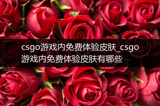 csgo游戏内免费体验皮肤_csgo游戏内免费体验皮肤有哪些
