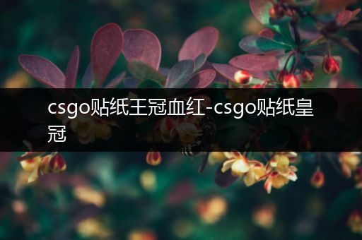 csgo贴纸王冠血红-csgo贴纸皇冠
