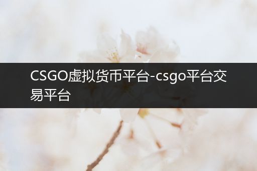 CSGO虚拟货币平台-csgo平台交易平台