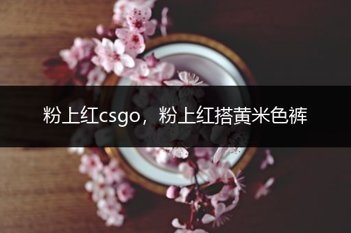 粉上红csgo，粉上红搭黄米色裤