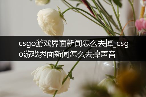 csgo游戏界面新闻怎么去掉_csgo游戏界面新闻怎么去掉声音