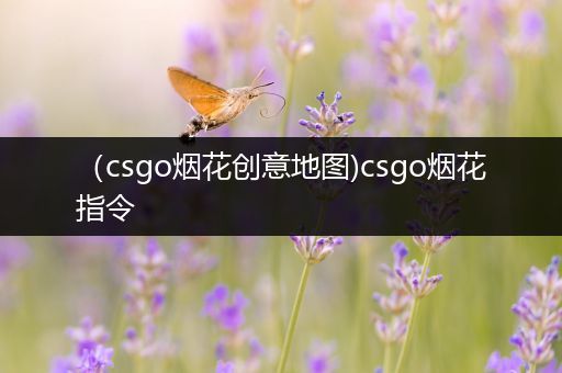 （csgo烟花创意地图)csgo烟花指令