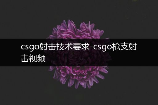 csgo射击技术要求-csgo枪支射击视频