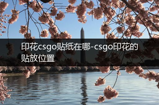 印花csgo贴纸在哪-csgo印花的贴放位置