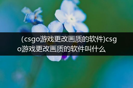 （csgo游戏更改画质的软件)csgo游戏更改画质的软件叫什么