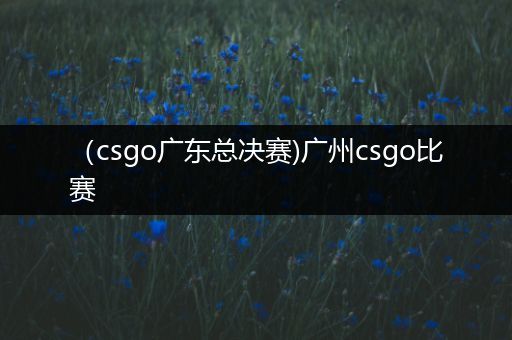 （csgo广东总决赛)广州csgo比赛