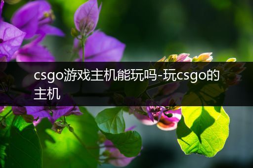 csgo游戏主机能玩吗-玩csgo的主机