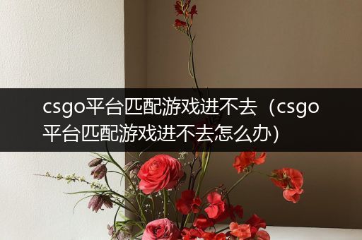 csgo平台匹配游戏进不去（csgo平台匹配游戏进不去怎么办）