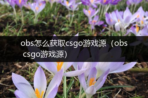 obs怎么获取csgo游戏源（obs csgo游戏源）