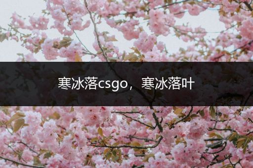 寒冰落csgo，寒冰落叶