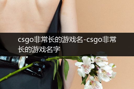 csgo非常长的游戏名-csgo非常长的游戏名字