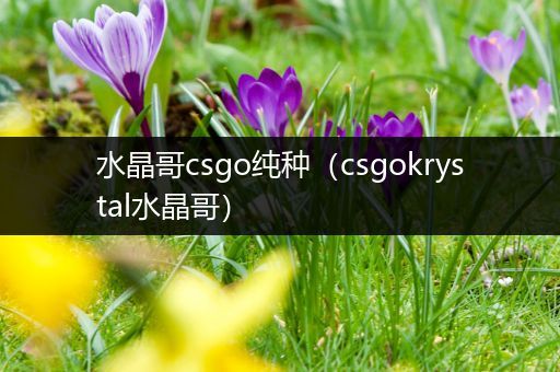 水晶哥csgo纯种（csgokrystal水晶哥）