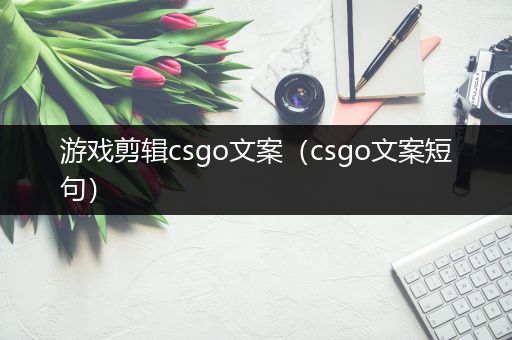 游戏剪辑csgo文案（csgo文案短句）