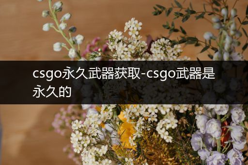 csgo永久武器获取-csgo武器是永久的