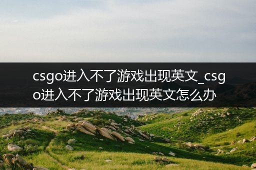 csgo进入不了游戏出现英文_csgo进入不了游戏出现英文怎么办
