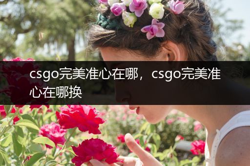 csgo完美准心在哪，csgo完美准心在哪换