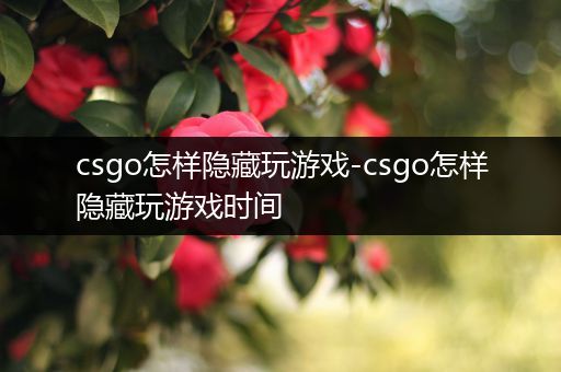 csgo怎样隐藏玩游戏-csgo怎样隐藏玩游戏时间