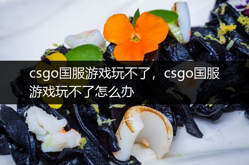 csgo国服游戏玩不了，csgo国服游戏玩不了怎么办