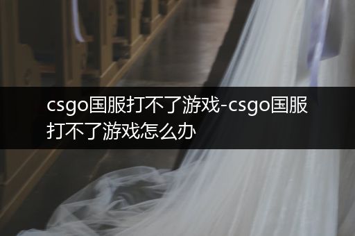 csgo国服打不了游戏-csgo国服打不了游戏怎么办