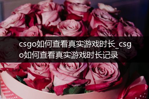 csgo如何查看真实游戏时长_csgo如何查看真实游戏时长记录
