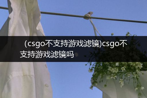 （csgo不支持游戏滤镜)csgo不支持游戏滤镜吗