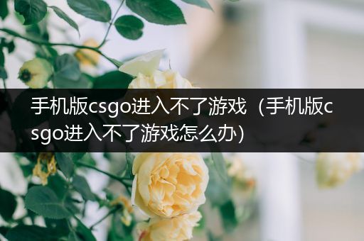 手机版csgo进入不了游戏（手机版csgo进入不了游戏怎么办）