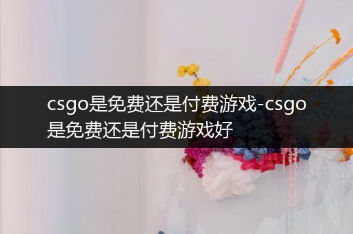 csgo是免费还是付费游戏-csgo是免费还是付费游戏好