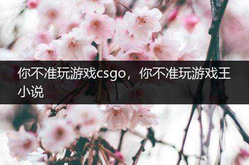 你不准玩游戏csgo，你不准玩游戏王小说