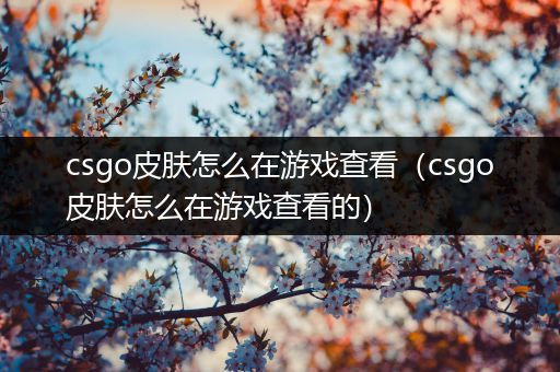 csgo皮肤怎么在游戏查看（csgo皮肤怎么在游戏查看的）